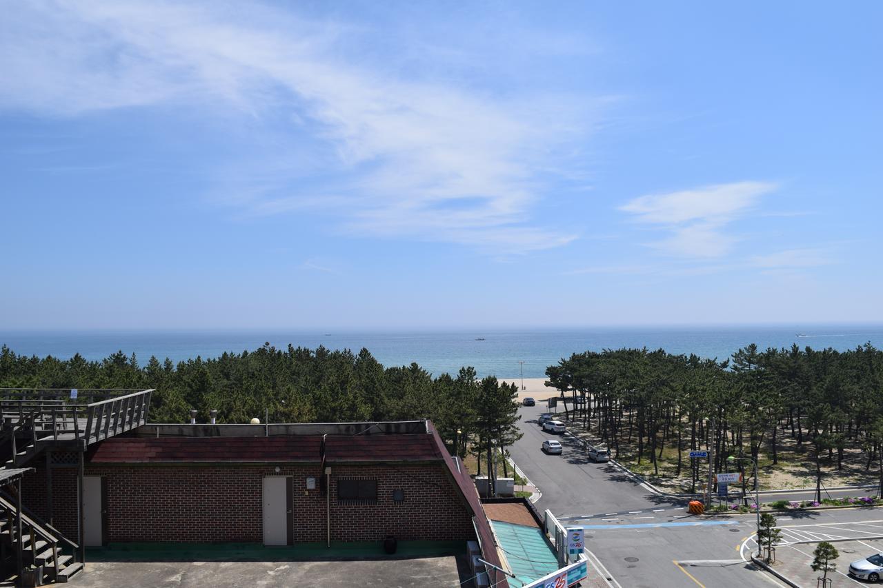 Sumsum Guest House يانغ يانغ المظهر الخارجي الصورة